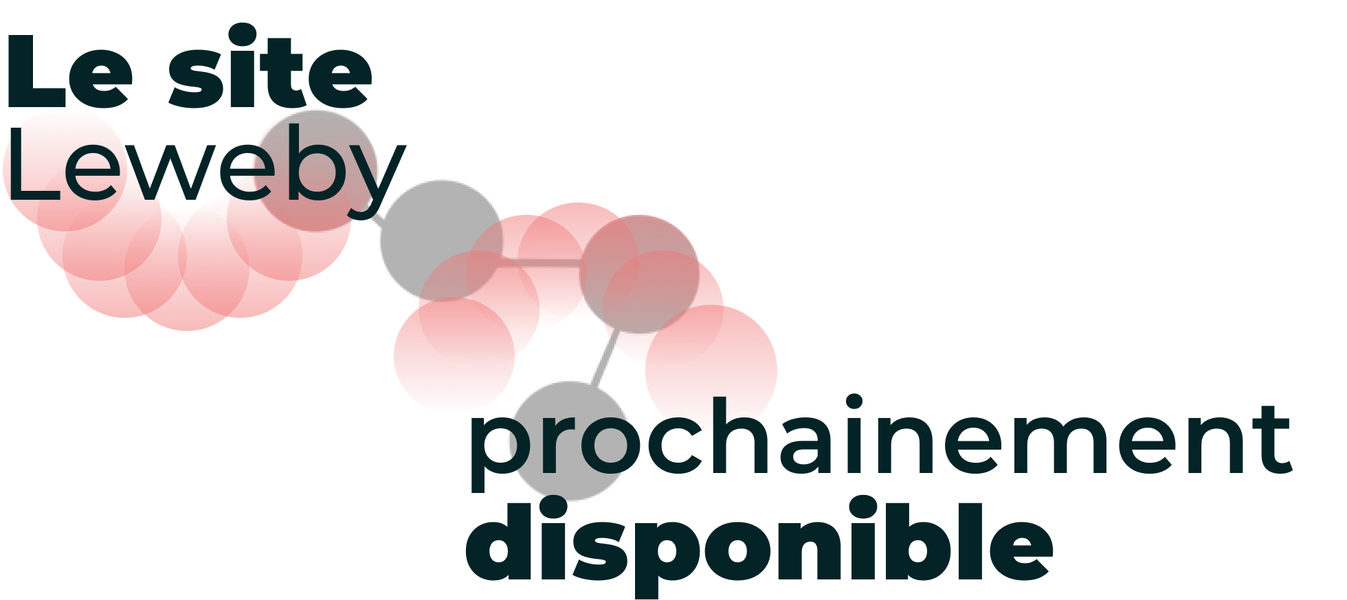 prochainement le site leweby sera disponible